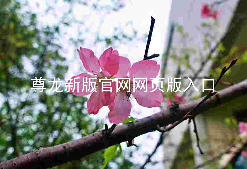 尊龙新版官网网页版入口