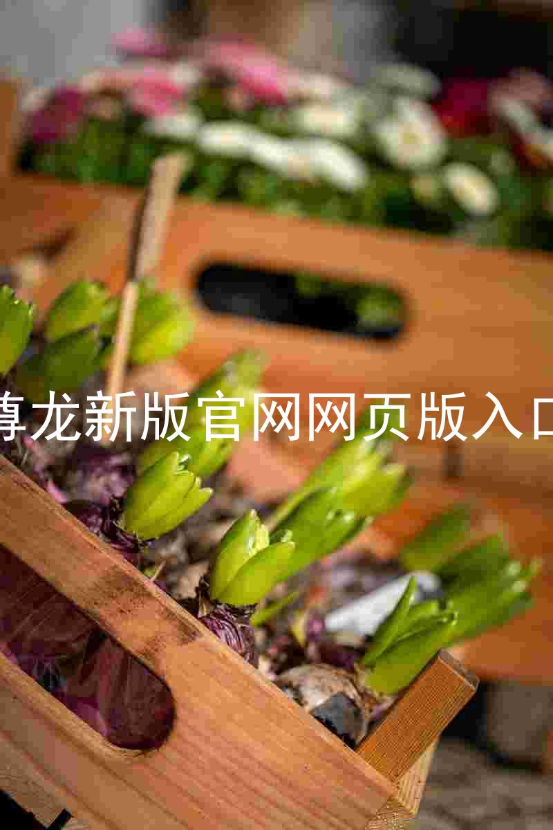 尊龙新版官网网页版入口