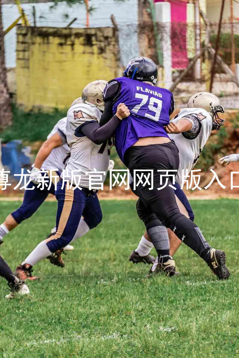 尊龙新版官网网页版入口
